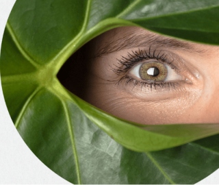 Hydratation des yeux